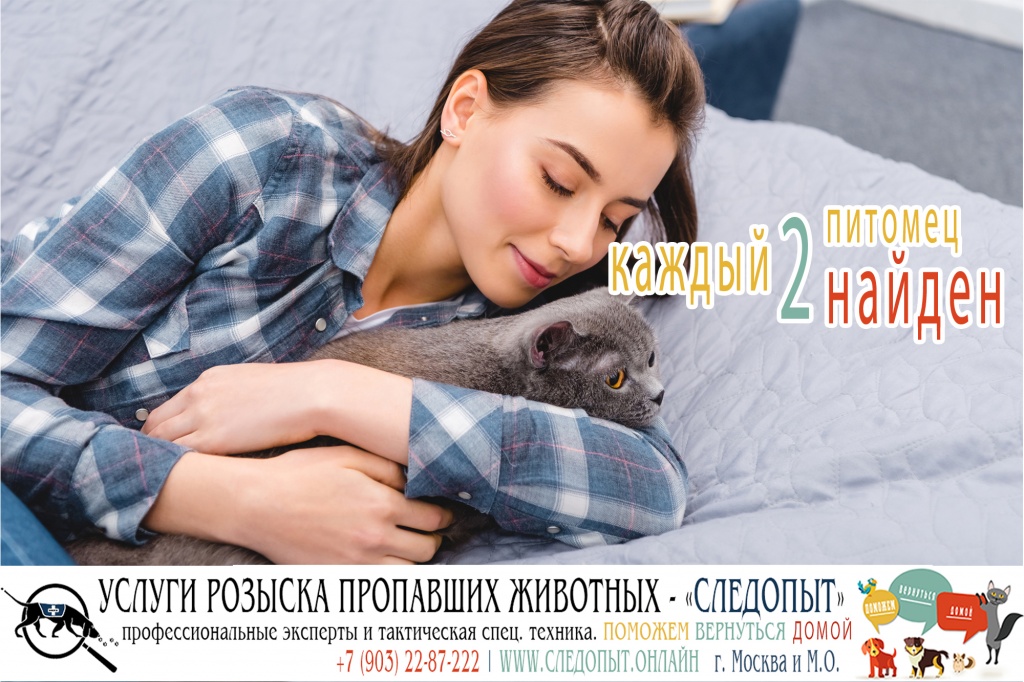 Поиск пропавших животных Поиск пропавших животных