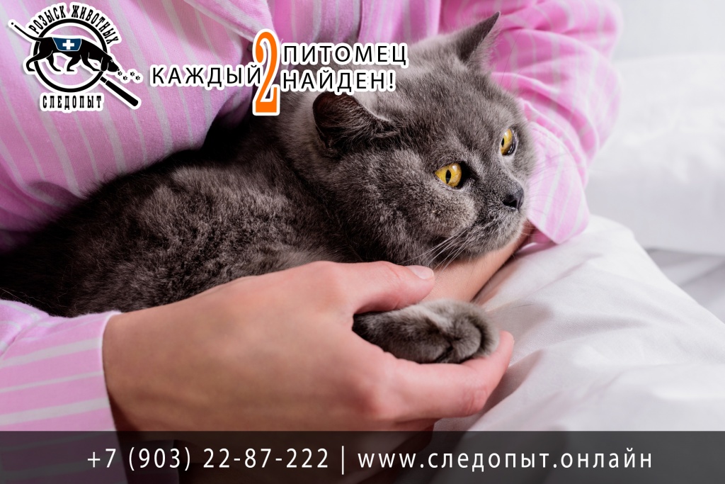 Услуги по поиску животных Услуги по поиску животных