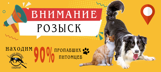 Поиск пропавших животных Поиск пропавших животных