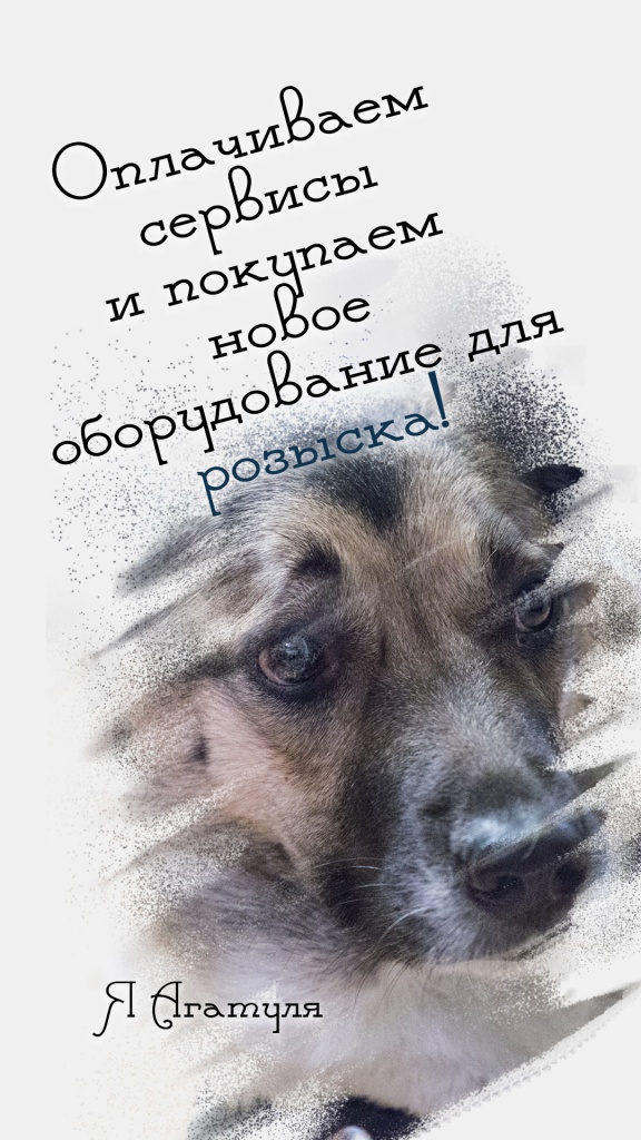 2.jpg 2.jpg