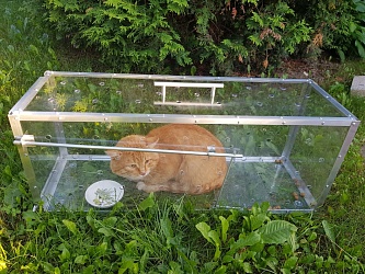 Аренда котоловок